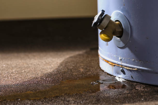 Best Mold removal after water damage  in Hampstead, MD