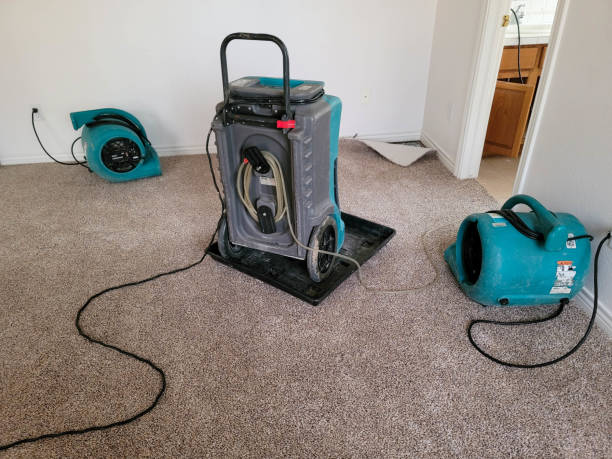  Hampstead, MD Water damage restoration Pros