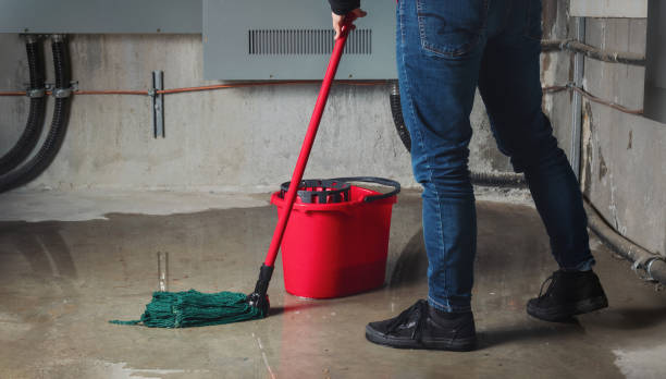 Best Basement water damage restoration  in Hampstead, MD
