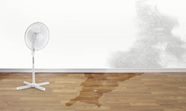 Best Water damage restoration near me  in Hampstead, MD
